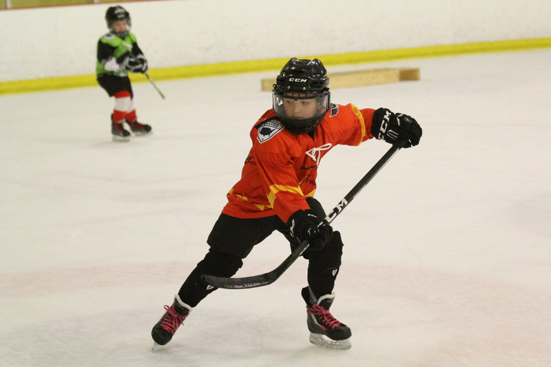 2022 Holiday Pond Hockey Tournament - Sugar Land, TX