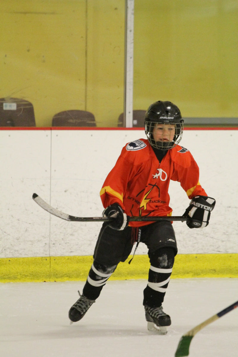 2022 Holiday Pond Hockey Tournament - Sugar Land, TX